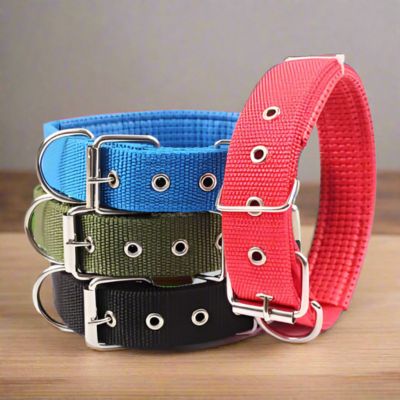 Collier Chien | A trou (26 - 57cm) - Joli Doggy