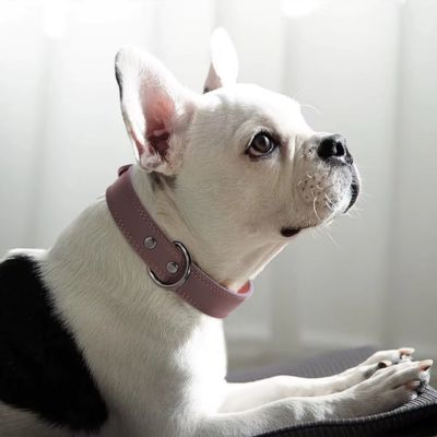 Collier Chien Cuir | Classique (25 - 53cm) - Joli Doggy