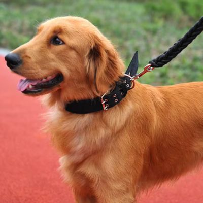 Collier Chien | Double Trou (37 - 65cm) - Joli Doggy