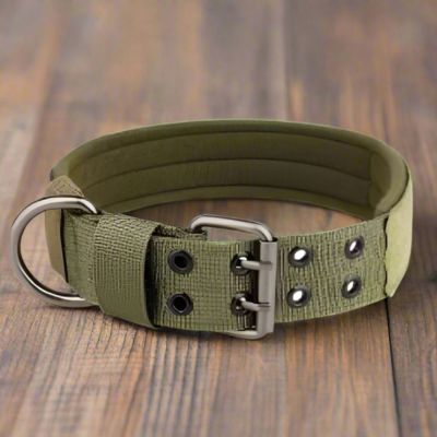 Collier Chien | Double Trou (37 - 65cm) - Joli Doggy