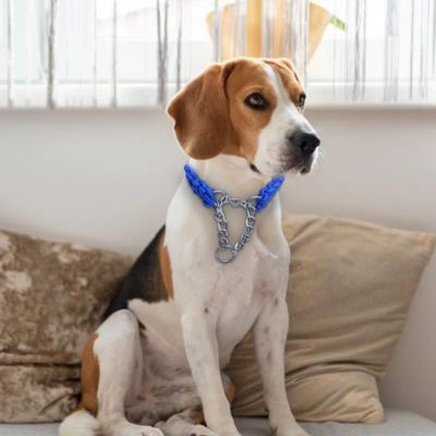 Collier Chien | Résistant (33 - 60cm) - Joli Doggy