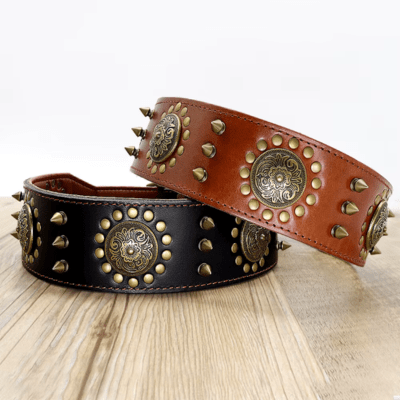 Collier Cuir Chien | Clouté (44 - 64cm) - Joli Doggy