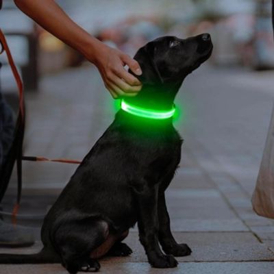 Collier Lumineux Chien | Batterie (28 - 56cm) - Joli Doggy