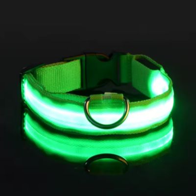Collier Lumineux Chien | Batterie (28 - 56cm) - Joli Doggy