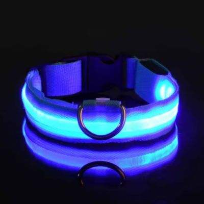 Collier Lumineux Chien | Batterie (28 - 56cm) - Joli Doggy