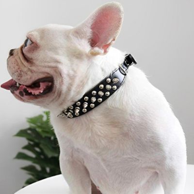 Collier pour Chien | Rivet (21 - 57cm) - Joli Doggy