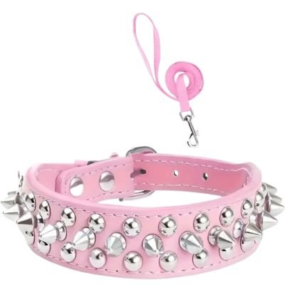 Collier pour Chien | Rivet (21 - 57cm) - Joli Doggy
