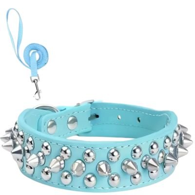 Collier pour Chien | Rivet (21 - 57cm) - Joli Doggy