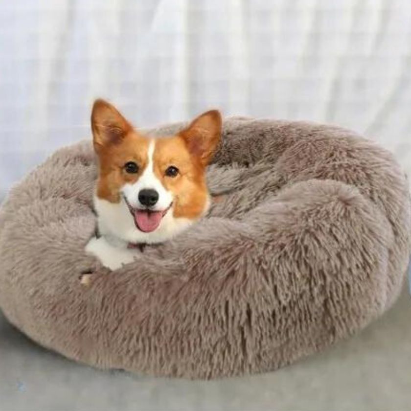 coussin chien Donut | Coussin Donut™ - Brun clair - Joli Doggy