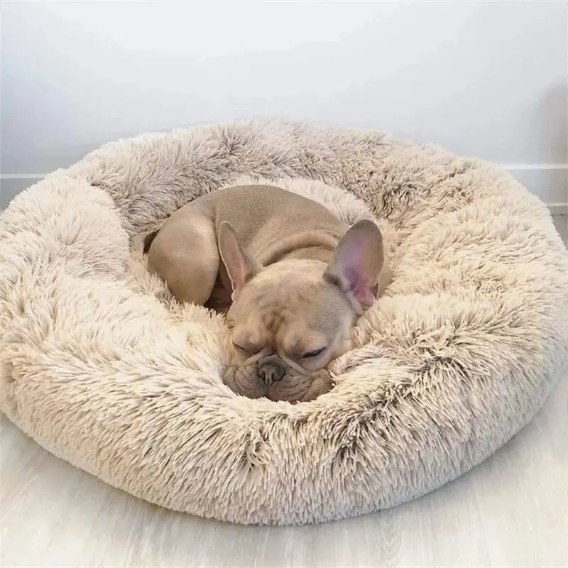 coussin chien Donut | Coussin Donut™ - Brun clair - Joli Doggy