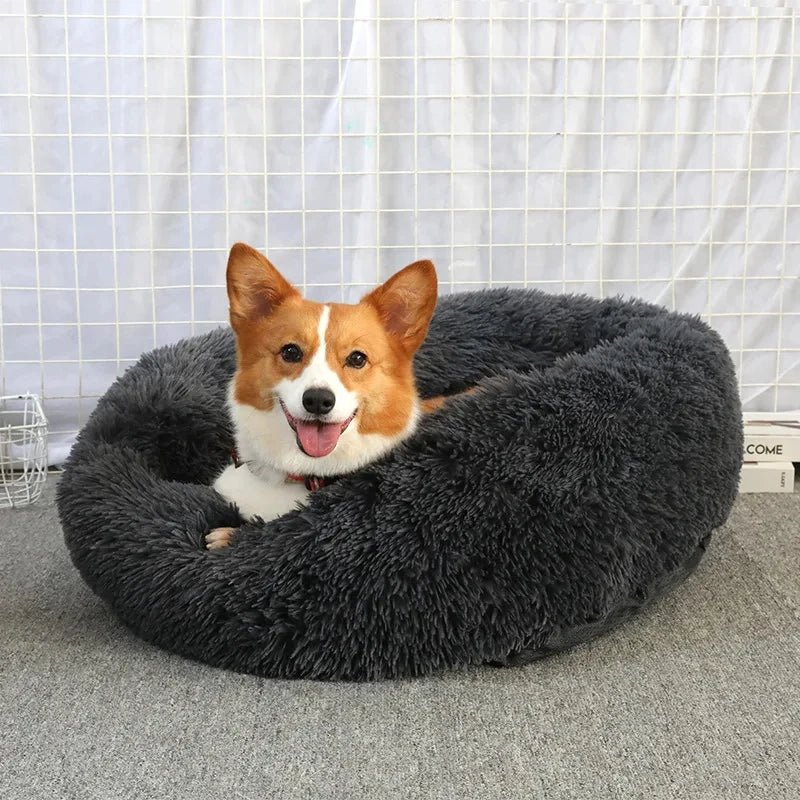 coussin chien Donut | Coussin Donut™ - Charcoal - Joli Doggy