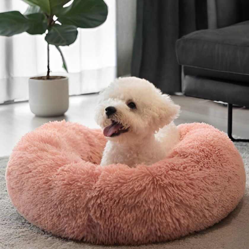 coussin chien Donut | Coussin Donut™ - Rose - Joli Doggy