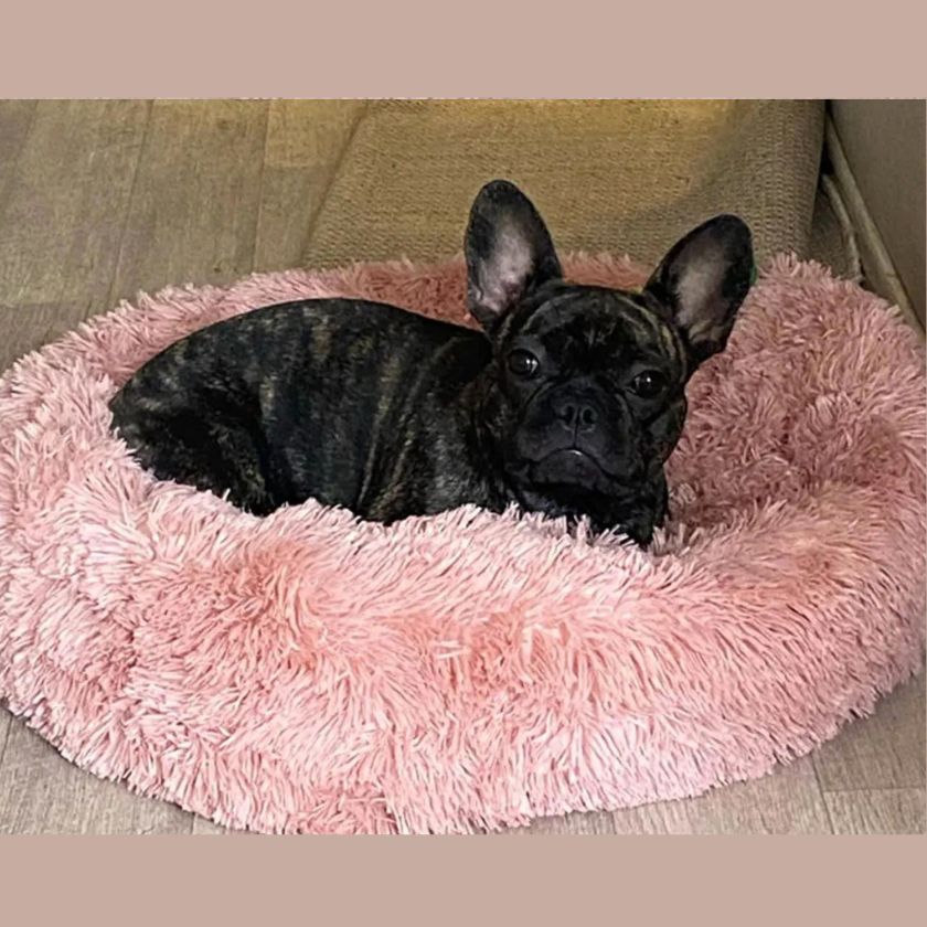 coussin chien Donut | Coussin Donut™ - Rose - Joli Doggy