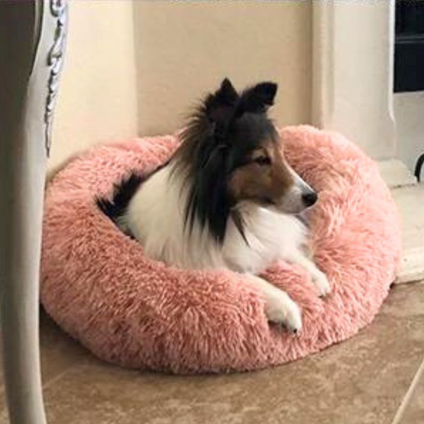 coussin chien Donut | Coussin Donut™ - Rose - Joli Doggy