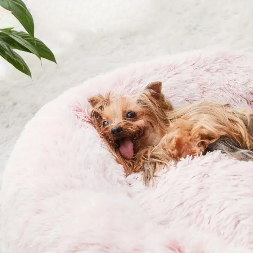 coussin chien Donut | Coussin Donut™ - Rose - Joli Doggy