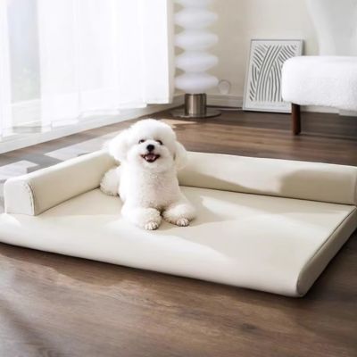 canape-pour-chien-meilleur