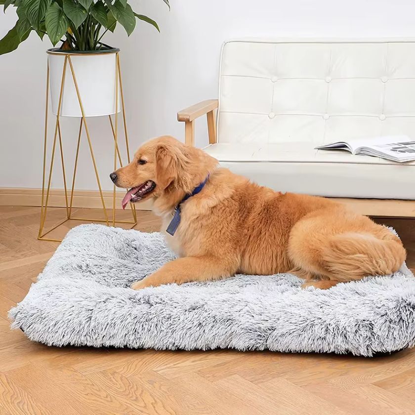 Coussin Déhoussable pour Chien Nicky™ - Joli Doggy