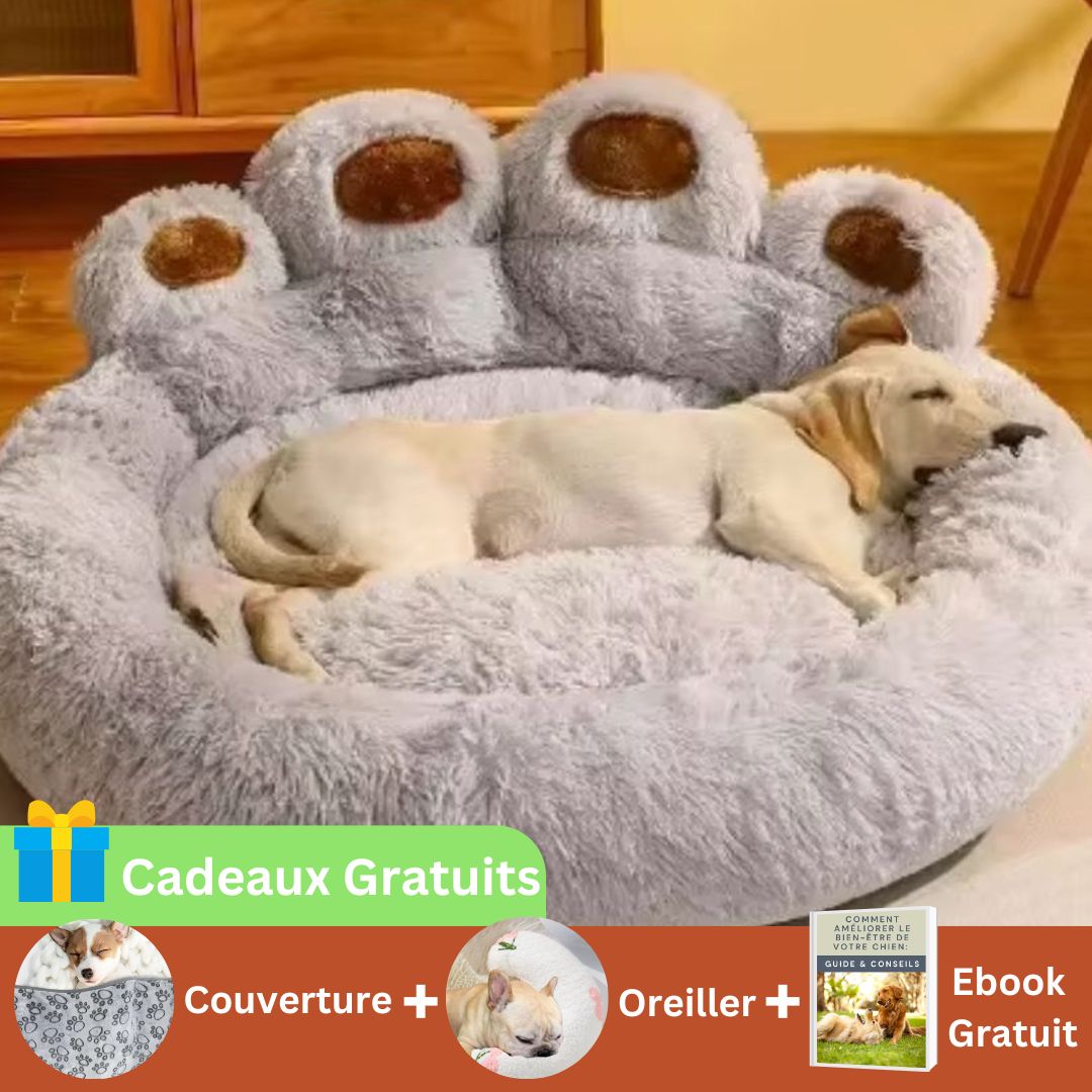 Coussin pour Chien Theo™ - Joli Doggy