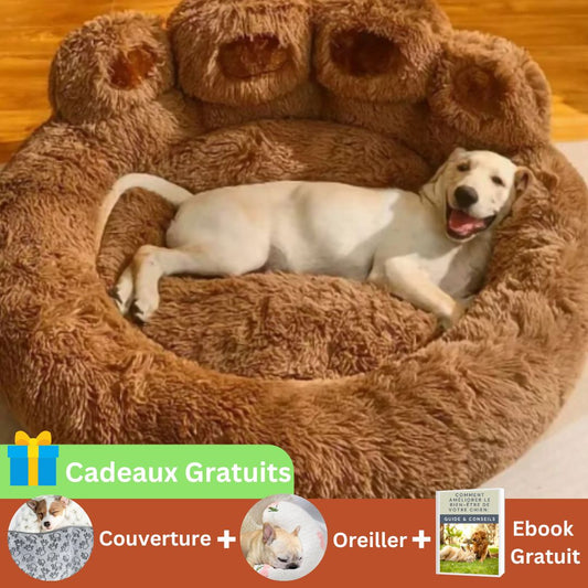 Coussin pour Chien Theo™ - Joli Doggy