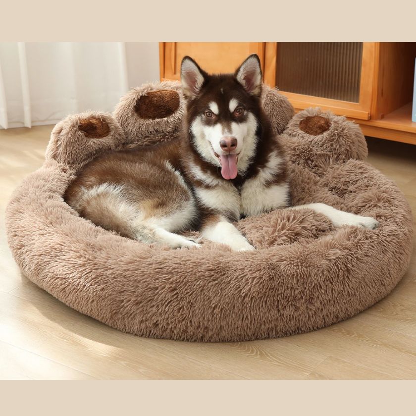 Coussin pour Chien │Theo™ - Joli Doggy