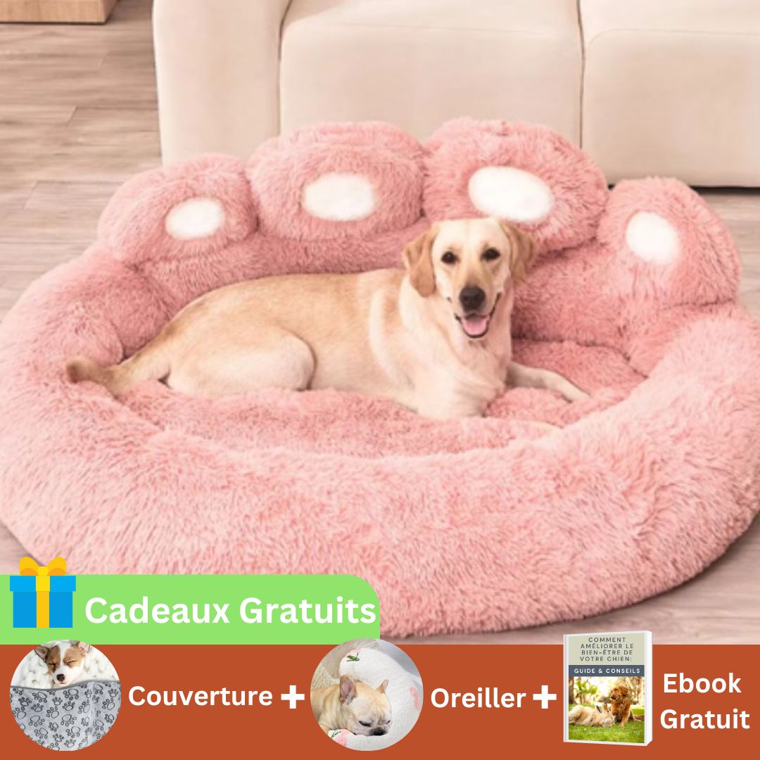 Coussin pour Chien Theo™ - Joli Doggy