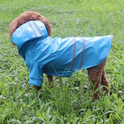 Doggy Jack™ | Veste imperméable - Joli Doggy