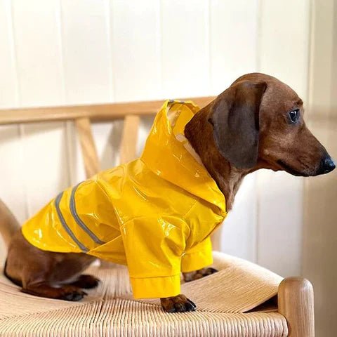 Doggy Jack™ | Veste imperméable - Joli Doggy