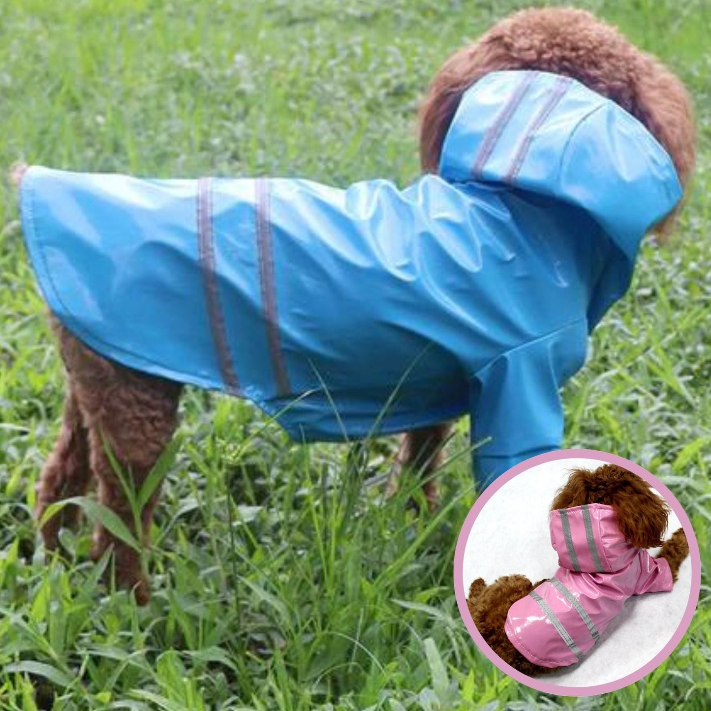 Doggy Jack™ | Veste imperméable - Joli Doggy