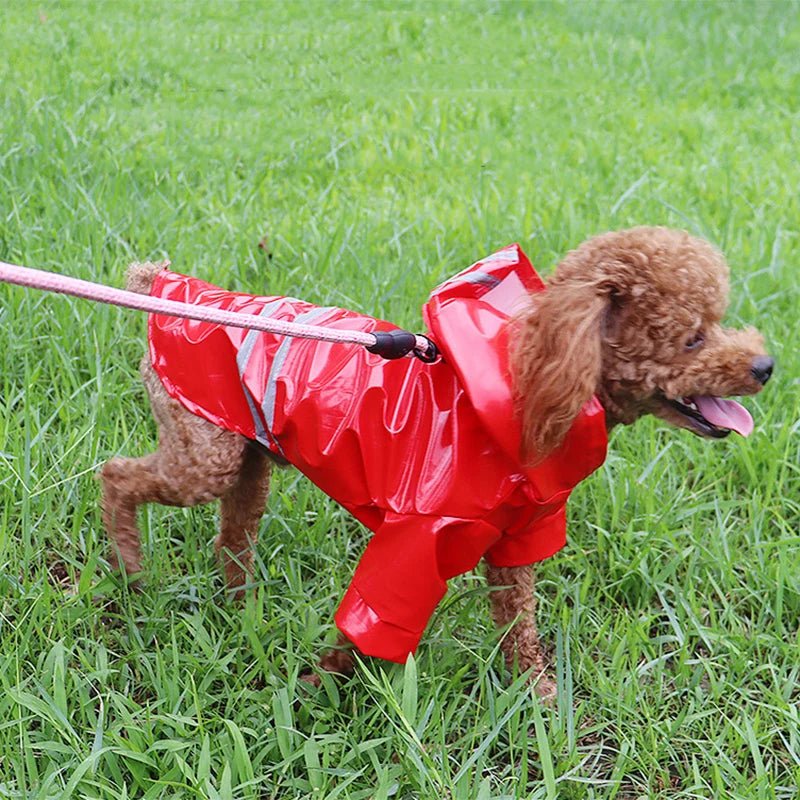 Doggy Jack™ | Veste imperméable - Joli Doggy