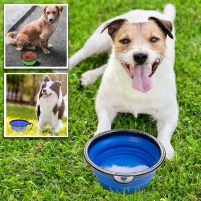 EverywhereBowl™ | Bol pliable et portatif - Joli Doggy