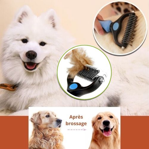 HappyBrush™ | Brossage en douceur et sans stress - Joli Doggy