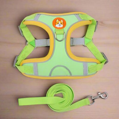 Harnais Anti Traction Chien | Petit Chien (38 - 62cm) - Joli Doggy
