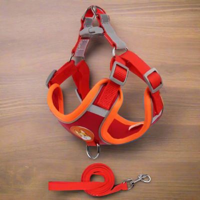 Harnais Anti Traction Chien | Petit Chien (38 - 62cm) - Joli Doggy