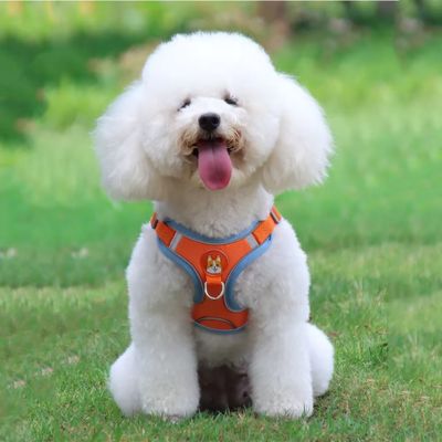 Harnais Anti Traction Chien | Petit Chien (38 - 62cm) - Joli Doggy