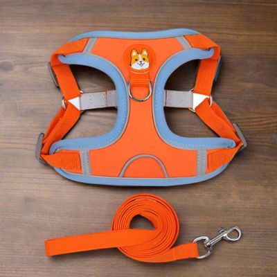 Harnais Anti Traction Chien | Petit Chien (38 - 62cm) - Joli Doggy