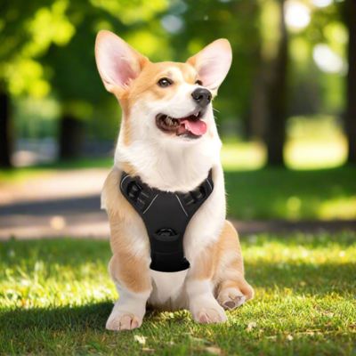 Harnais Chien Anti Traction | (43 - 96cm) - Joli Doggy