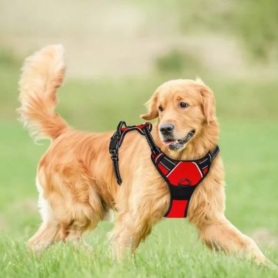 Harnais Chien Anti Traction | (43 - 96cm) - Joli Doggy