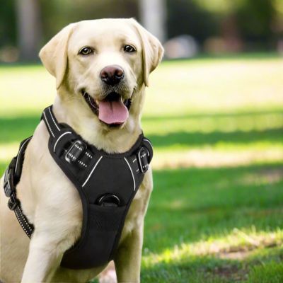Harnais Chien Anti Traction | (43 - 96cm) - Joli Doggy