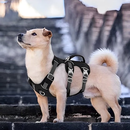 Harnais Chien Anti Traction - Attache Double (30 - 81cm) - Joli Doggy