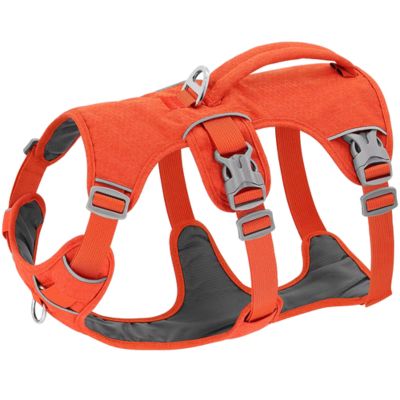 Harnais Chien Anti Traction - Attache Double (30 - 81cm) - Joli Doggy