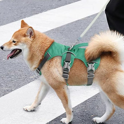 Harnais Chien Anti Traction - Attache Double (30 - 81cm) - Joli Doggy