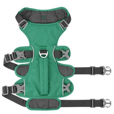 Harnais Chien Anti Traction - Attache Double (30 - 81cm) - Joli Doggy