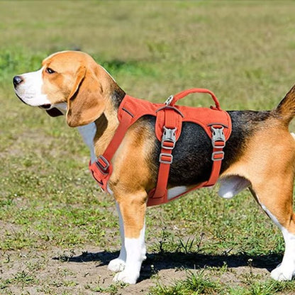 Harnais Chien Anti Traction - Attache Double (30 - 81cm) - Joli Doggy
