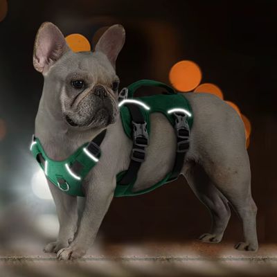 Harnais Chien Anti Traction - Attache Double (30 - 81cm) - Joli Doggy