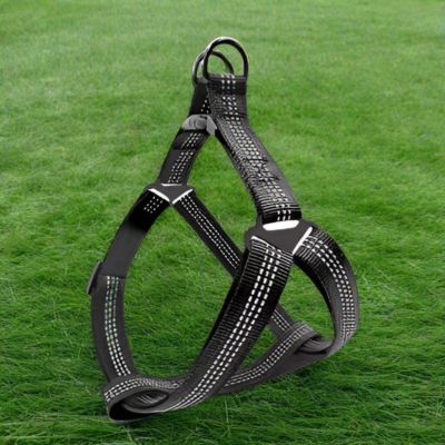 Harnais Chien en Y | (42 - 87cm) - Joli Doggy