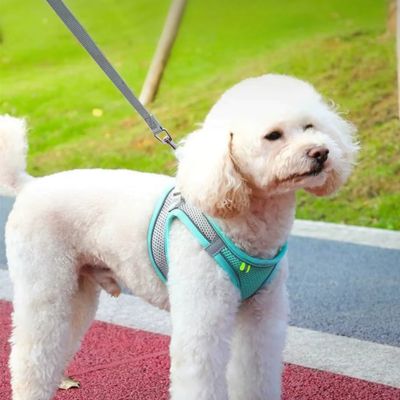 Harnais Chien | Laisse Incluse (28 - 62cm) - Joli Doggy