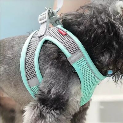 Harnais Chien | Laisse Incluse (28 - 62cm) - Joli Doggy