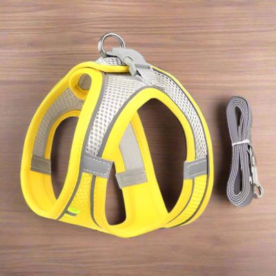 Harnais Chien | Laisse Incluse (28 - 62cm) - Joli Doggy