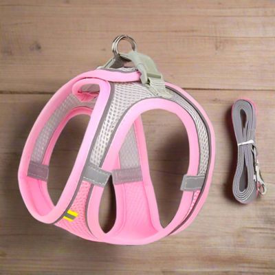 Harnais Chien | Laisse Incluse (28 - 62cm) - Joli Doggy