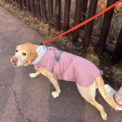 Harnais Chien - Manteau (40 - 102cm) - Joli Doggy